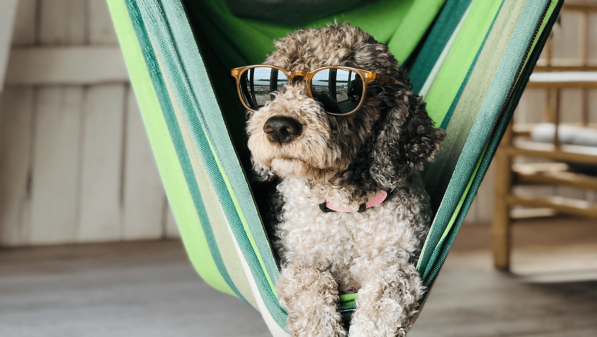 Jobba remote från hängmattan – här är fördelarna med Experis AnyShore